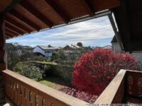 gr. Einheit - Blick vom Balkon im Herbst